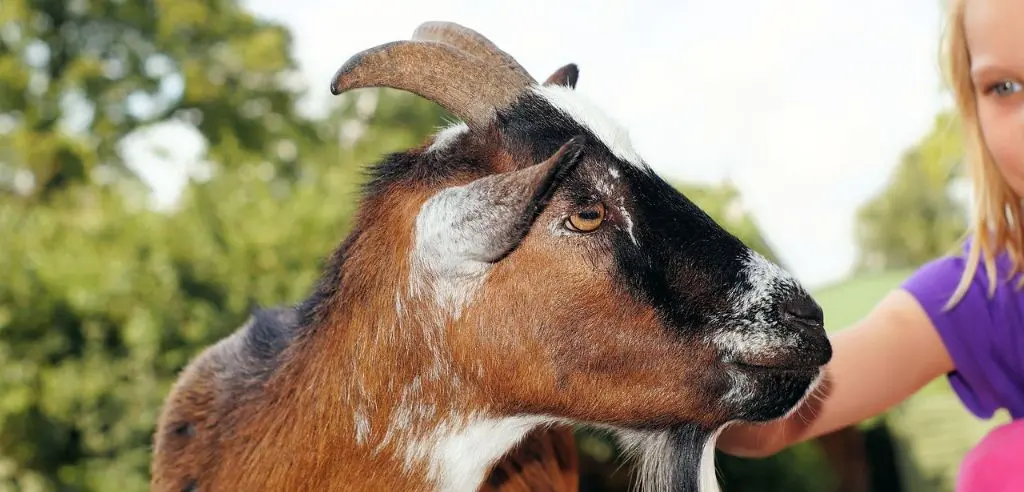 tierpark roehrensee