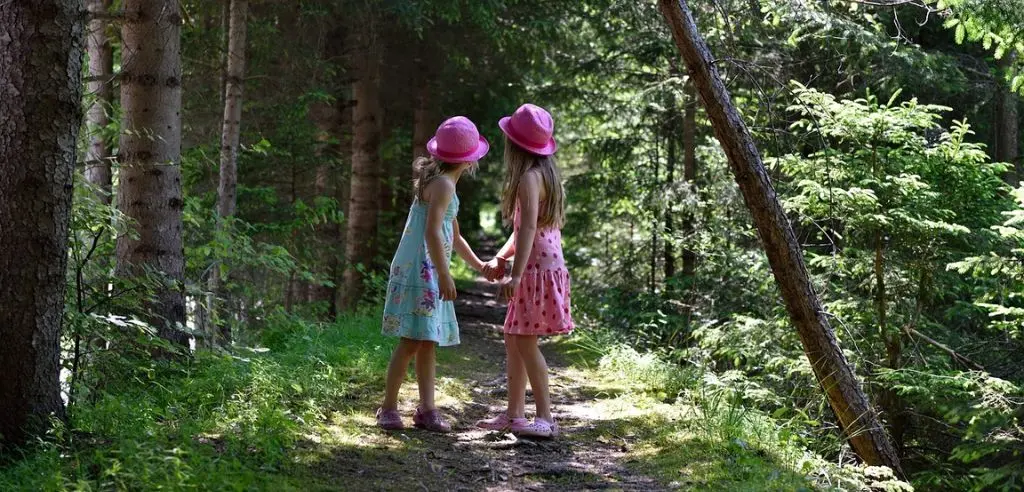 waldspaziergang zum siegesturm